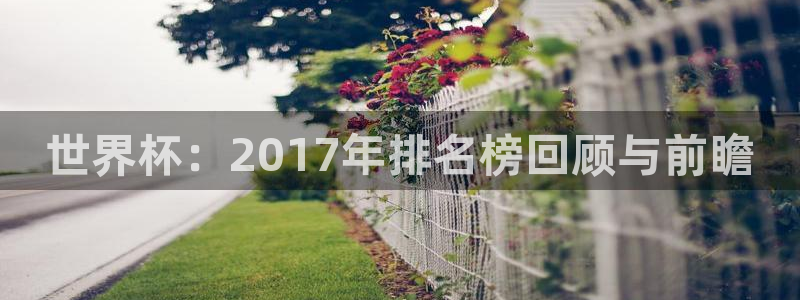 中国 世界杯：世界杯：2017年排名榜回顾与前瞻