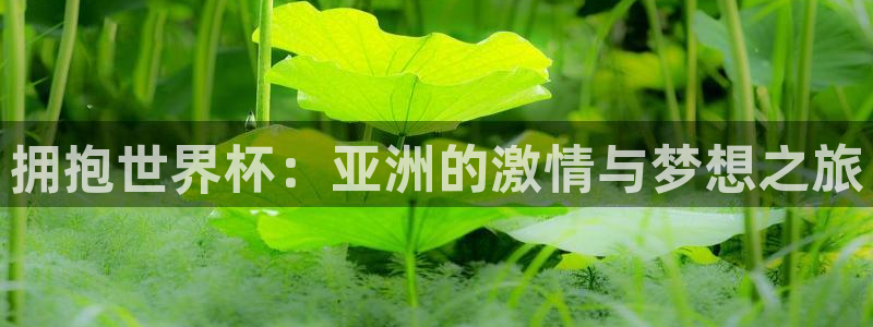 足球世界杯时间：拥抱世界杯：亚洲的激情与梦想之旅