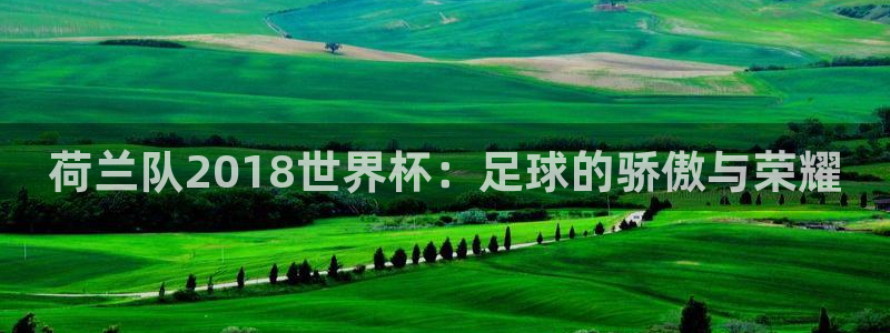 世界杯预选赛欧洲：荷兰队2018世界杯：足球的骄傲与荣耀