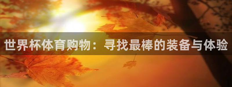 世界杯2026赛制：世界杯体育购物：寻找最棒的装备与体验