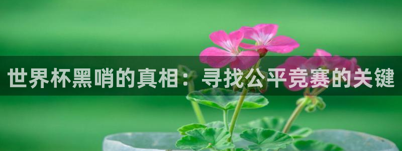 世界杯决赛预测：世界杯黑哨的真相：寻找公平竞赛的关键