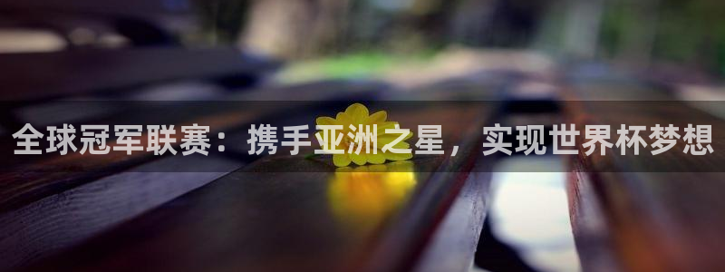 世界杯预选赛欧洲赛区积分榜：全球冠军联赛：携手亚洲之星，实现世界杯梦想