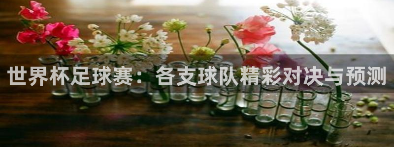 欧洲区世界杯预选赛：世界杯足球赛：各支球队精彩对决与预测