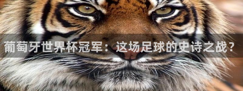 世界杯：葡萄牙世界杯冠军：这场足球的史诗之战？